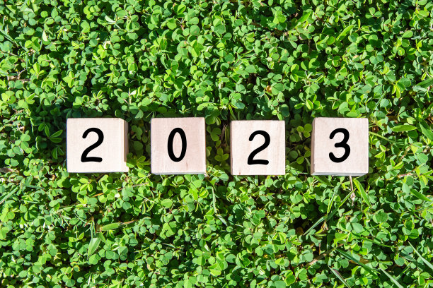 木块上的2023号。新年的概念。图片下载