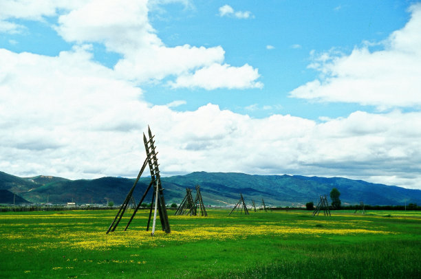 香格里拉的夏天，野花和木头代表在牧场上晒粮食图片下载