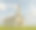 孤立的白色小教堂或教堂背景。图片下载