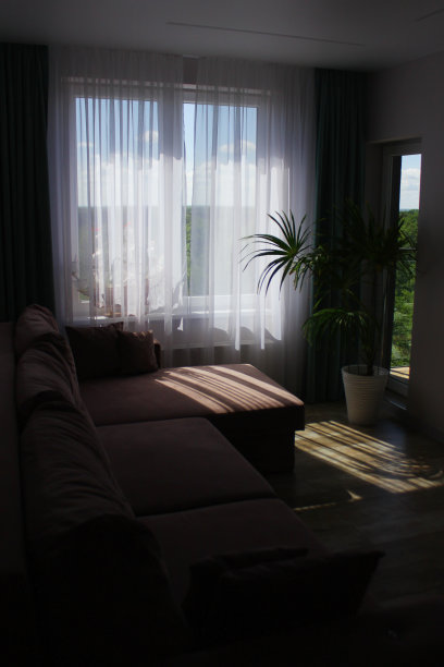 舒适舒适的生活环境。有室内植物的公寓，充满了光影图片下载