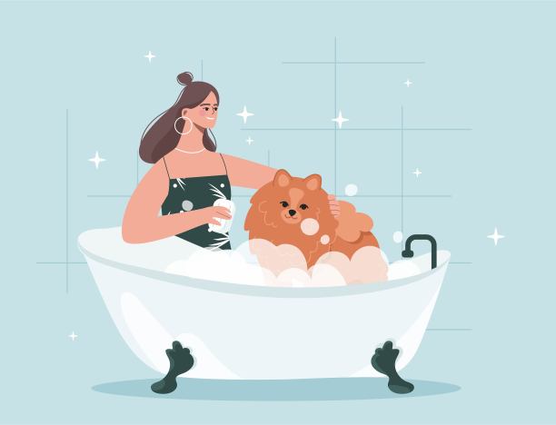 女人洗狗图片下载