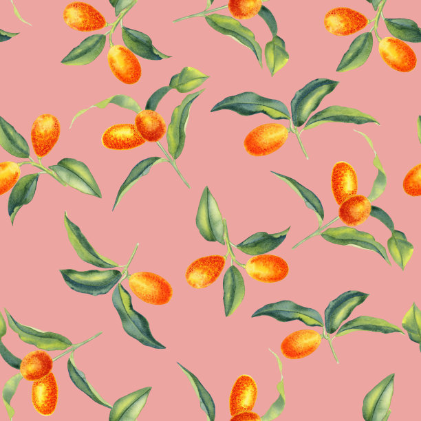 金橘枝水彩无缝图案。柑橘和柑橘的果实，留下无尽的背景。热带树木手绘装饰品。用于纺织品和包装纸。图片下载