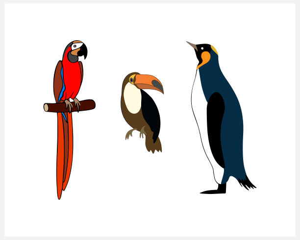 涂鸦鸟集剪辑艺术孤立。手绘动物。矢量插图。每股收益10图片下载