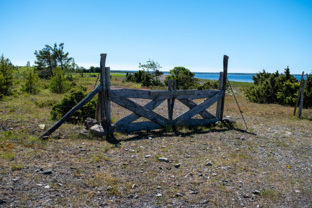古老的木板门通向大海。通过杜松树丛。爱沙尼亚,萨拉马图片下载