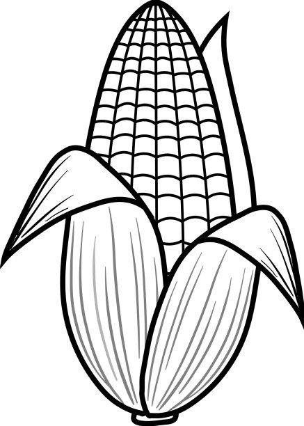 玉米涂鸦轮廓着色图片下载