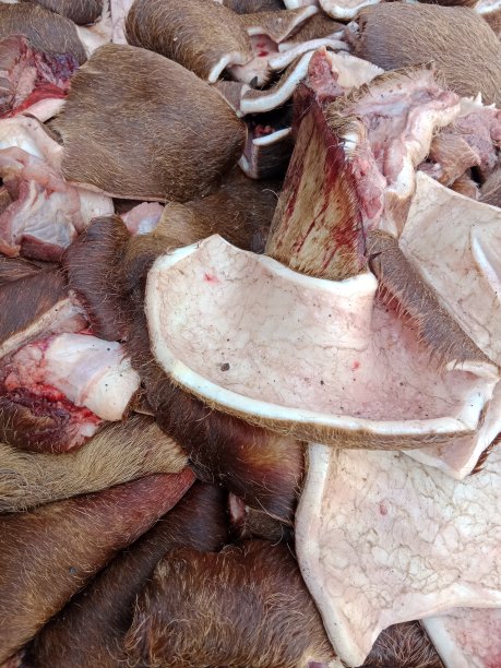 牛肉切片图片下载