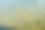海绿色海藻背景。石头与明亮的海藻特写。海草的天然丝绒质感。图片下载