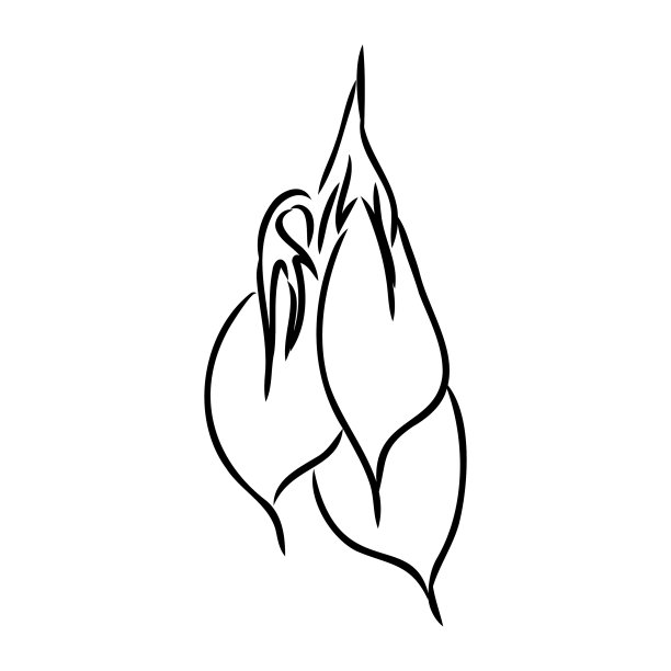 扁豆蔬菜图形黑白色隔离图片下载