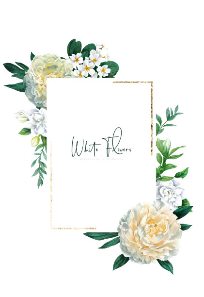 手绘白花横幅图片下载