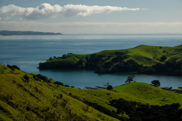 新西兰乡村图片下载
