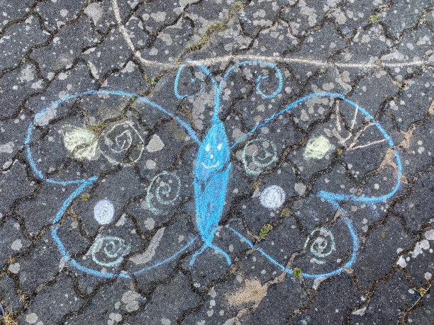 蝴蝶画图片下载