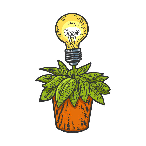 灯泡植物颜色草图图片下载