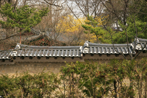 韩国墙屋顶在农村图片下载