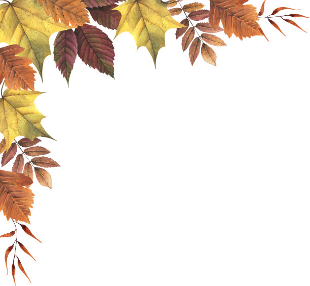 水彩落叶花角图片下载