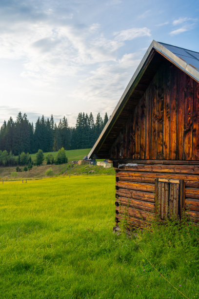 传统的老木谷仓在美丽的夕阳下，绿色的背景，乡村概念，乡村，斯洛伐克，欧洲，田园诗风景摄影，垂直图片图片下载