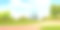 有绿树和篱笆的夏季公园或花园图片下载
