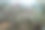 越南河江的桃花图片下载