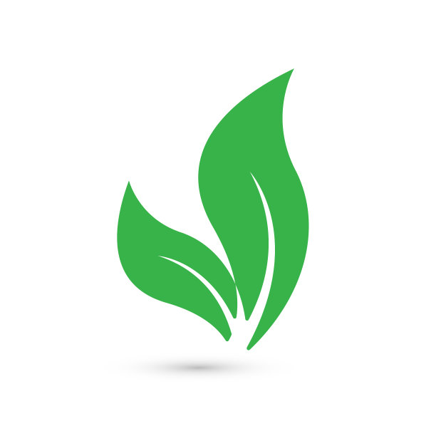 美丽的绿叶概念设计在绿色的自然图片下载