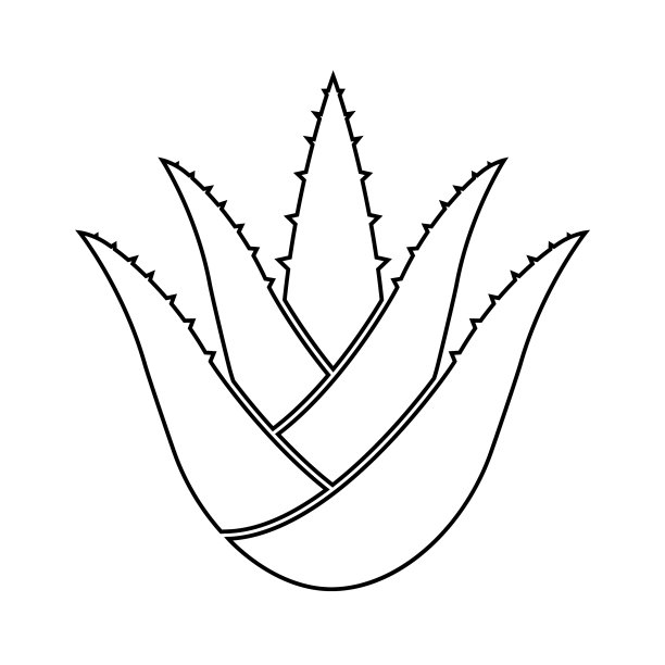 芦荟轮廓图标图片下载