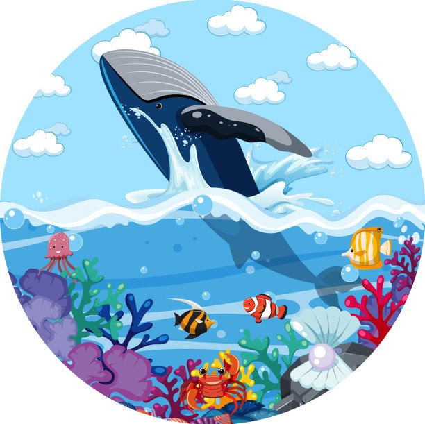 白色鲸鱼的水花场景图片下载