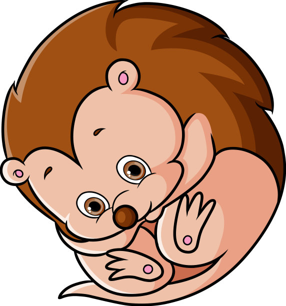 可爱的刺猬带着大大的身体在滚动图片下载