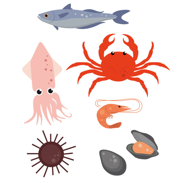 一套美丽的海鲜在白色的背景图片下载