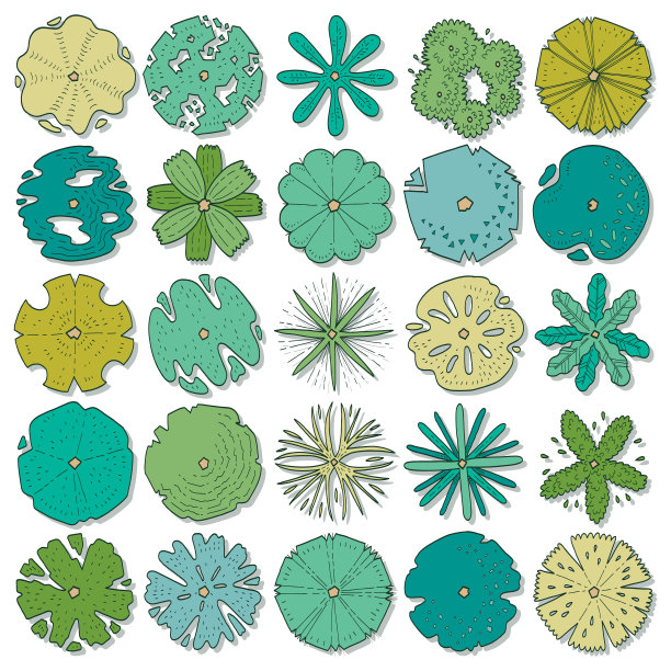 手绘的俯视图树图片下载