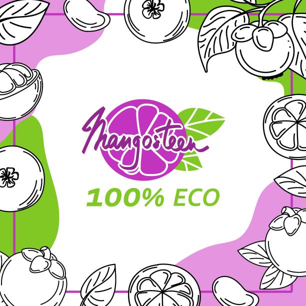 山竹模板是素描风格的涂鸦的元素。整个山竹，部分，叶，片，心。收集水果图像。带有文本空间的矢量插图。图片下载