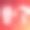 国家的狗。8月26日。节日的概念。模板背景，横幅，卡片，与文字铭文海报。向量EPS10插图。图片下载