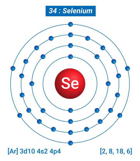 硒元素信息-事实，性质，趋势，用途和比较元素周期表，硒的壳结构图片下载