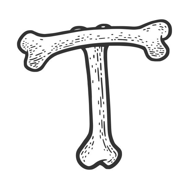 字母t由骨头素描而成图片下载