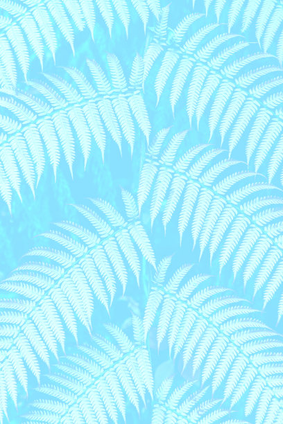 蕨类背景-股票照片图片下载