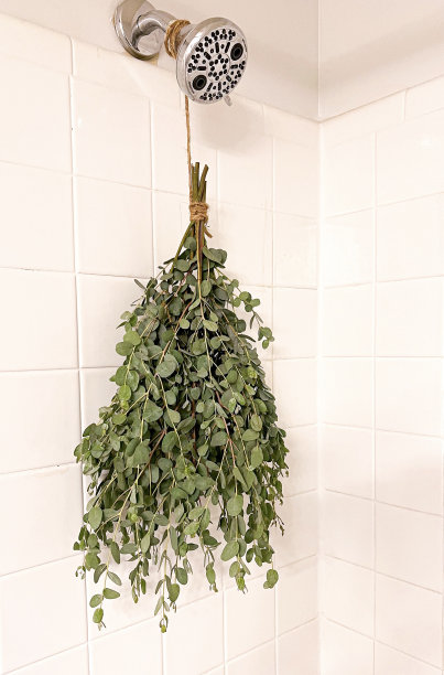 桉树悬挂式淋浴装置图片下载