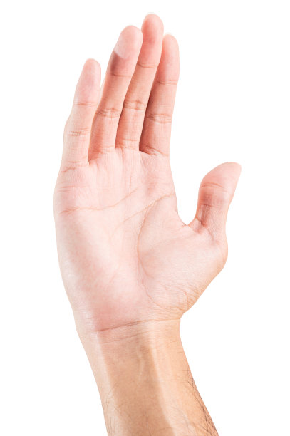 男性的手伸出并随时准备帮助或接受。手势孤立在白色背景上。图片下载