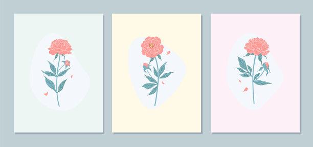 牡丹花卡图片下载