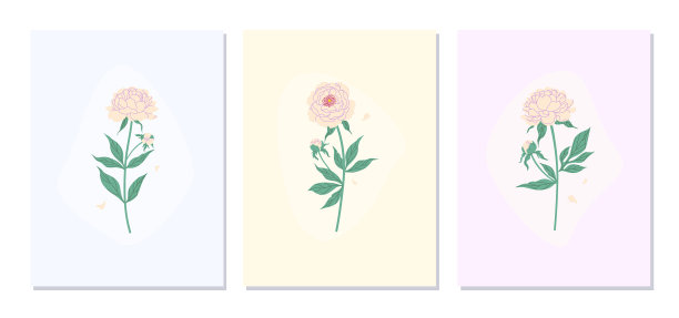 粉色牡丹花海报套装图片下载