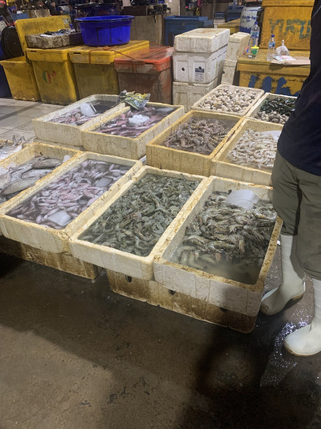 传统的鱼市场图片下载