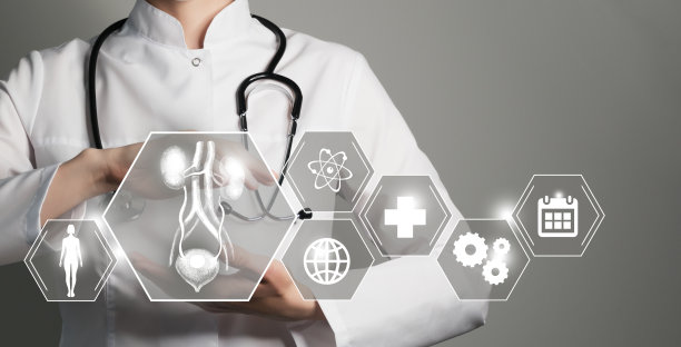 无法辨认的女医生手持肾脏和膀胱器官的图形虚拟可视化模型。背景上有多个医学图标。图片下载