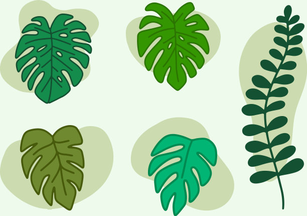 绿叶绿叶设计元素集轮廓风格图片下载