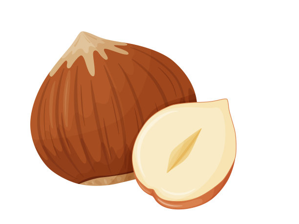 带壳的榛子坚果健康素食图片下载