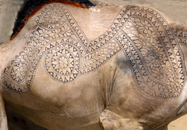 骆驼皮雕，动物皮雕图片下载