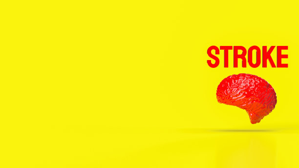 大脑和中风词的健康或科学概念3d渲染图片下载