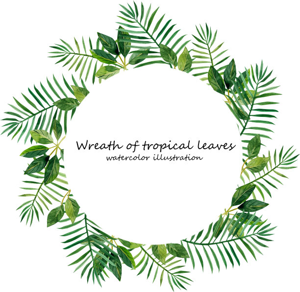 热带水彩树叶的花环图片下载