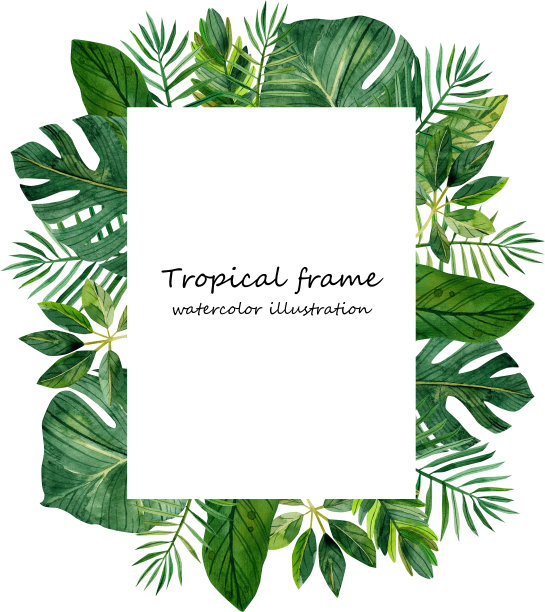 热带树叶的水彩框架图片下载