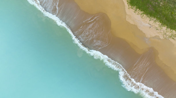 生态带波水能量带夏季热带背景，上图图片下载