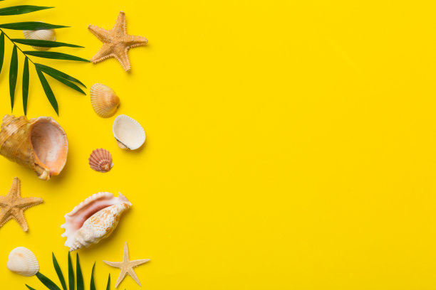 夏天的时间概念平面布局组成与美丽的海星和海贝在彩色的桌子，顶部视图与复制空间的文本图片下载
