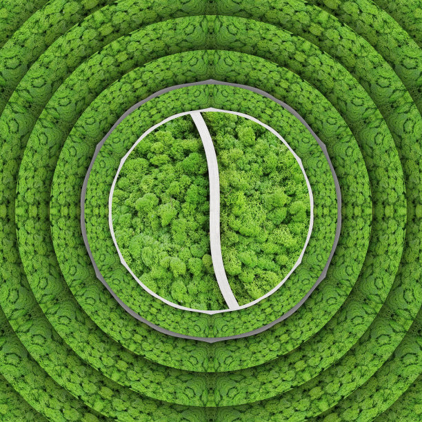 绿色叶子的阴影抽象条纹圆形图案和白色曲线和同心设计图片下载