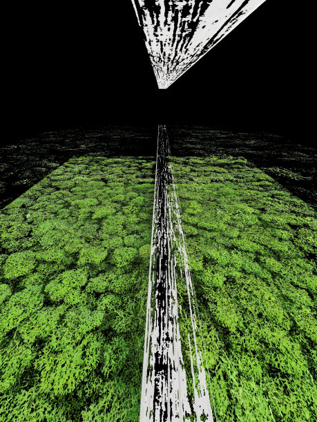 绿色叶子的阴影作为抽象的条纹圆形图案和白色的三维线和同心设计图片下载