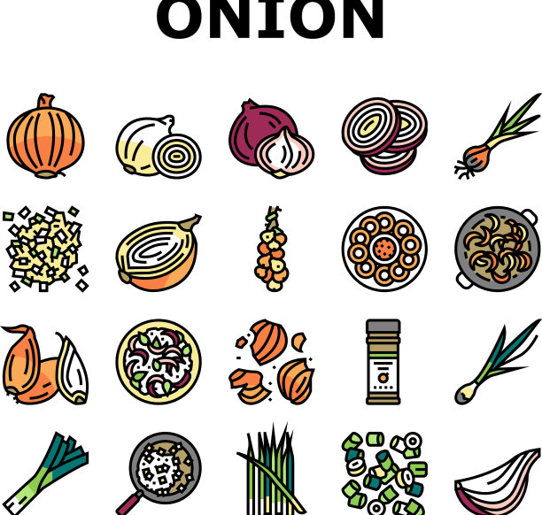 洋葱新鲜维生素蔬菜图标集图片下载