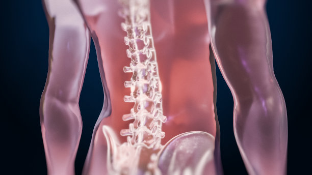 VFX背部疼痛虚拟现实呈现渲染。数字生成的人在脊柱创伤或关节炎的结果中经历不适。示意图医学可视化。图片下载